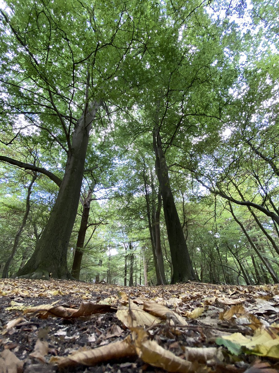 Cornwall Drone tweet media