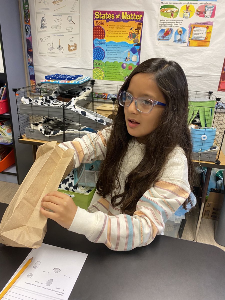 CrisFord23's tweet photo. Identifying, and describing states of matter! These 3rd grade pandas are very funny when it comes to mystery matter! #WPEscience @HumbleISD_WPE @Humble_Science @HumbleISD https://t.co/ixxh9s4mxL