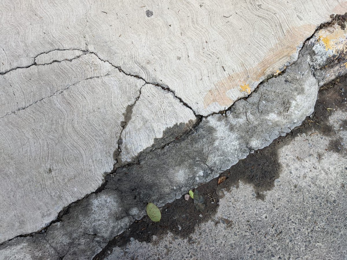 nice_oli's tweet photo. @ODAPASTECAMAC @MarielaGtzEsc @MunTecamac @ojodeagua_mx @CaemEdomex por favor su apoyo para atender una fuga de agua en la calle de chabacanos Mz.86 Lt.21, ojo de agua. https://t.co/O7YTFBUAIH