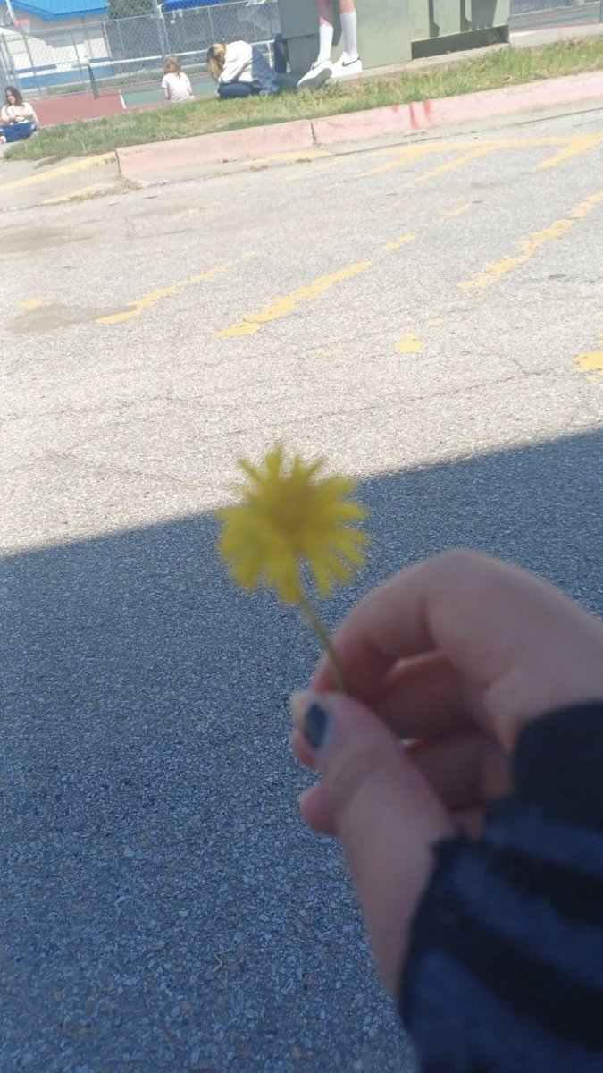 urlocalgnome's tweet photo. my gnomie sent me a picture of a flower their friend gave them 🥰 https://t.co/zLhjo8Y3Dc