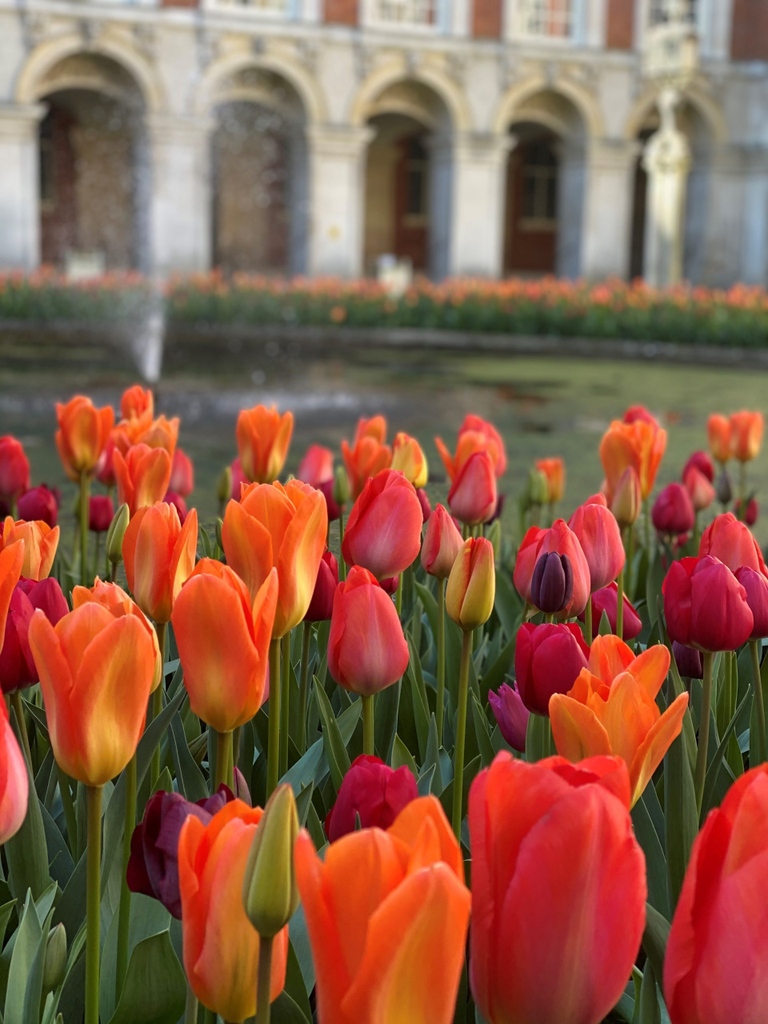 RoyalNeedlework's tweet photo. *Perfect for beginners!*
Join RSN Tutor and Future Tutors Graduate, Jessica Ingram, at Hampton Court Palace for her class, ‘Introduction to Embroidery: Tulip’, on Saturday 10 September.
Book here: https://t.co/wBSkiza5bI
#beginnersembroidery #learnanewskill #handembroidery https://t.co/3BrESLjsNp