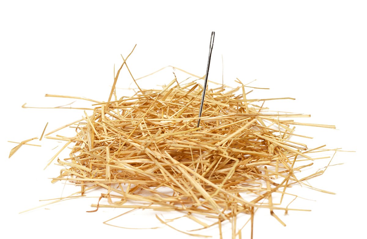 Alphalyse's tweet photo. Is the “needle in the haystack” ruining your mAb product?

In just 30 minutes, you learn why you need an orthogonal method to ELISA to investigate your mAb for potentially problematic HCPs – down to and below 1ppm.

Start here
💻 https://t.co/cS2wT19hOk https://t.co/DzMFrgewVn