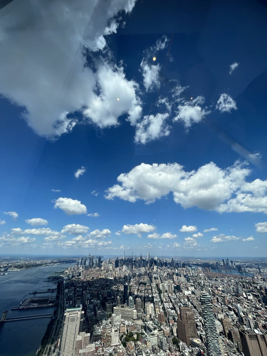 ESchamps11's tweet photo. 🗽🗽🗽 https://t.co/QIGqaJk4Dh