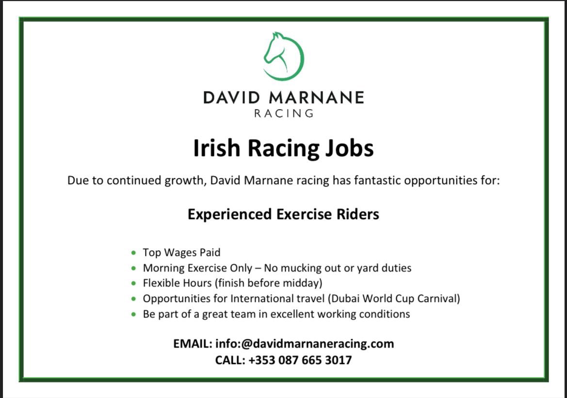 Fantastic Opportunities for Experienced Work Riders @ David Marnane Racing… email or call to find out more!! #irishracing #racingjobs <a href="/HRIRacing/">Horse Racing Ireland</a> #mrcinternational