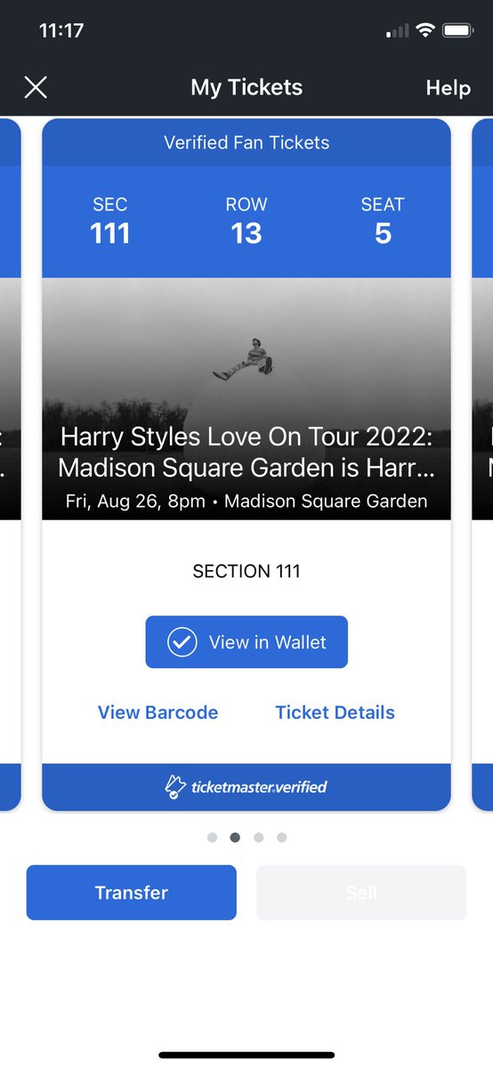 Sarah Salama 🌷🌙 tweet media