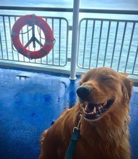CMLFerry's tweet photo. Shout out to Maverick who travelled with the Cape May-Lewes Ferry earlier in August and rated us a 10/10, according to his Human, for a "barking fantastic ride." We loved having you on board as well, Maverick, and hope to see you again soon!
#Woofin'Wednesday #FerryFun #CMLF https://t.co/pkqu0yJVkS