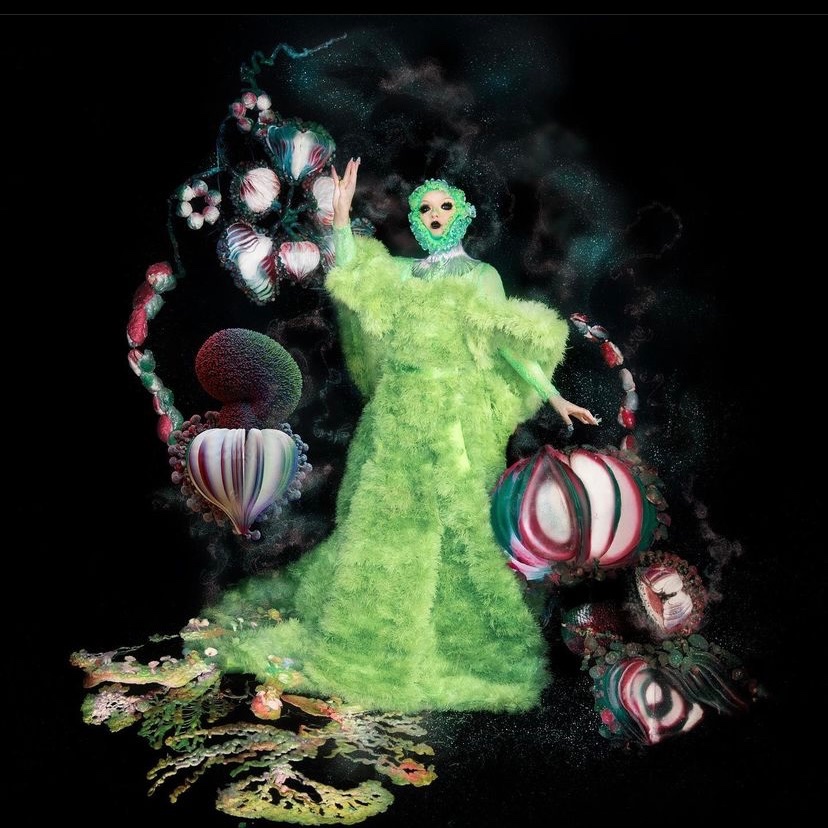 Why does Björk low key look like the nasty patty? 🤮🍔