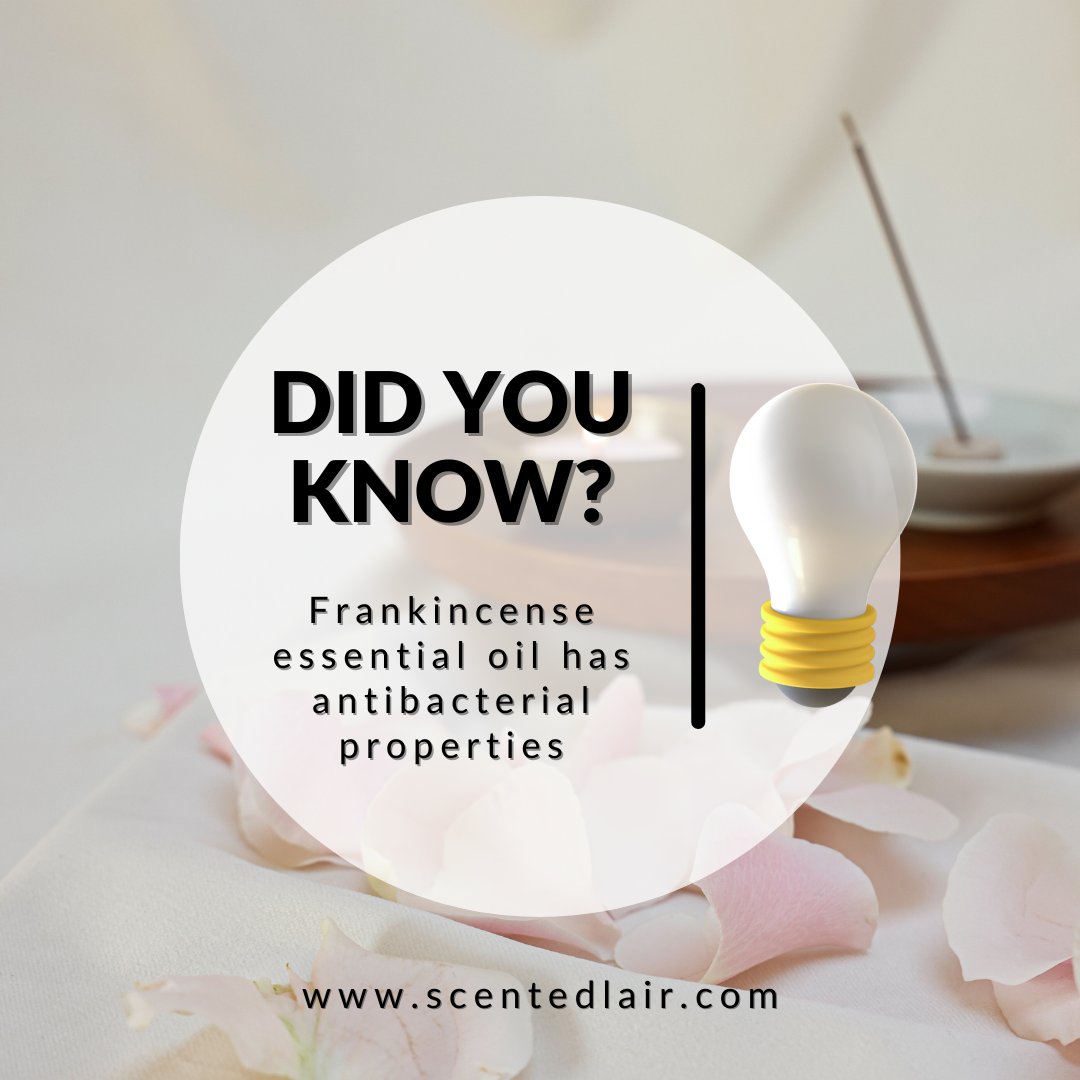 DID YOU KNOW....

.

.

.

#thescentedlair #smellthis #hearthis #feelthis #tastethis #downtownbrampton