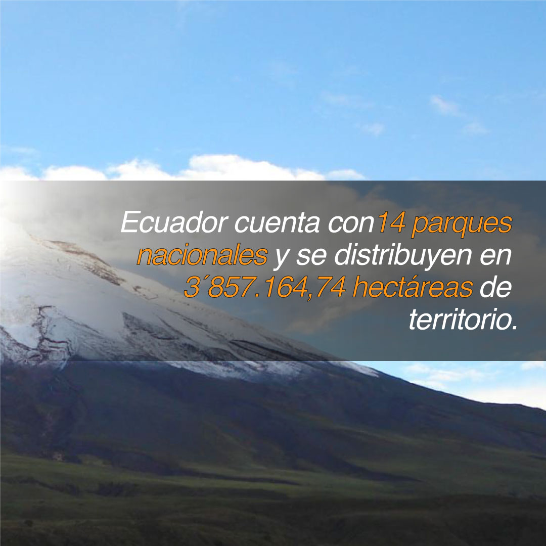 revistaelements's tweet photo. Los Parques nacionales se caracterizan por albergar diversidad de especies de flora y fauna y, ser espacios para la investigación científica, educación ambiental y el turismo sostenible.
Sigue con más de #EduElements
#Elements #concienciayequilibrio #ambiente #parquesnacionales https://t.co/bFmkwG45vi