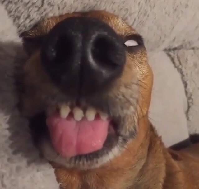 1MillonMikee's tweet photo. Quando acordo cedo e olho pro meu lado

Meu namorado dormindo: https://t.co/Sl9vDAr9Xz
