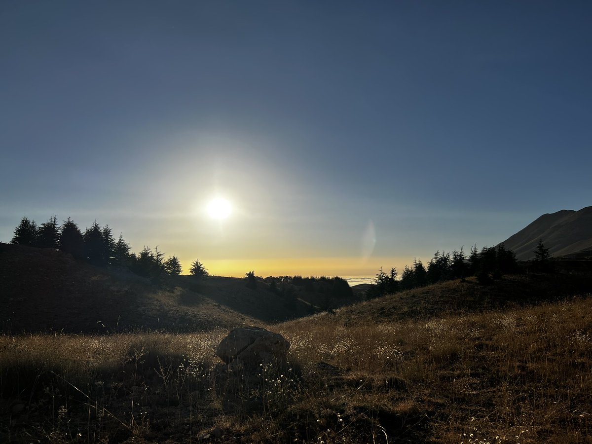 CharbelDY_Tawk's tweet photo. (1/3)🌲⛅️✨ https://t.co/Aqg5ny3kt8