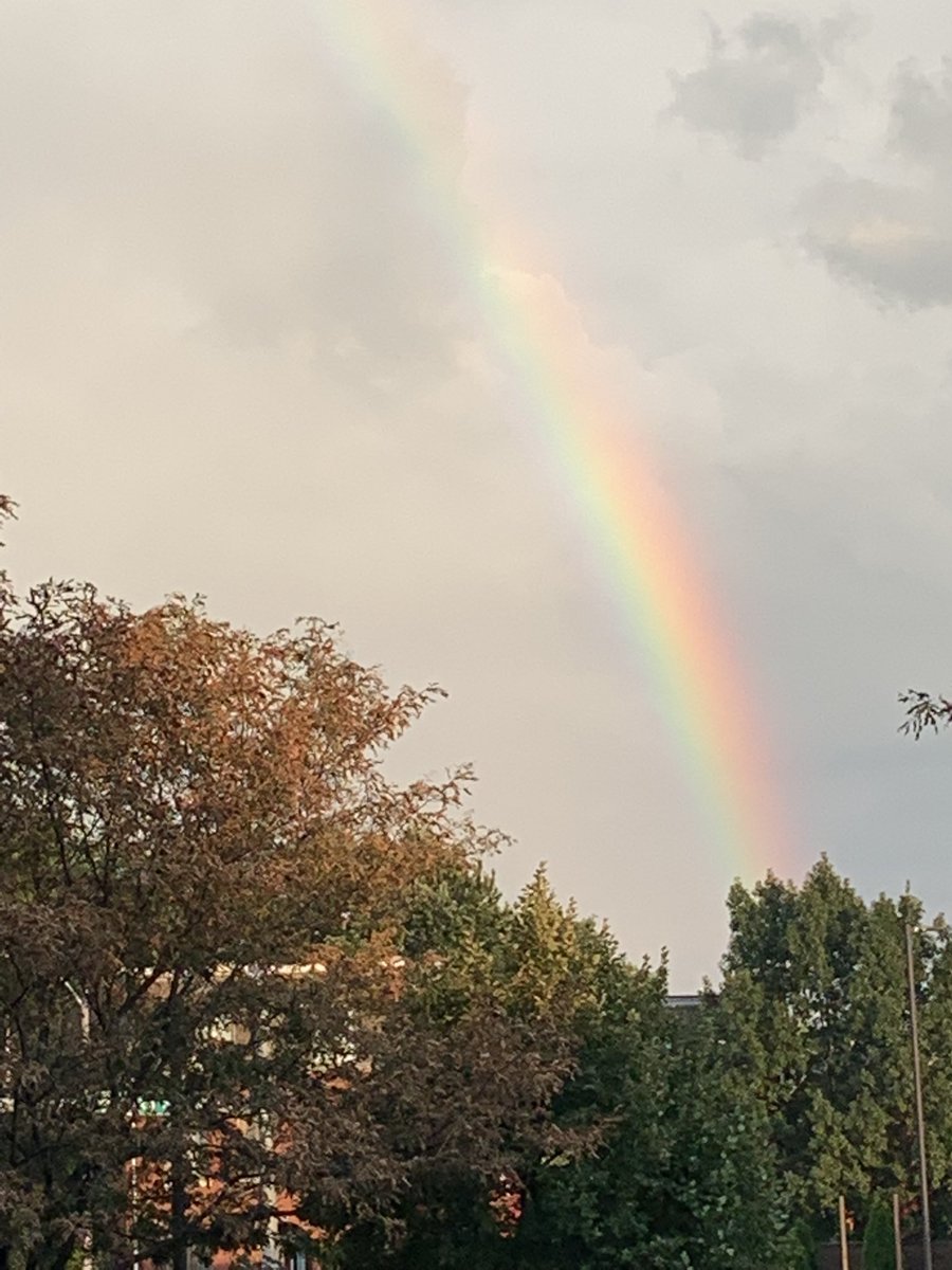 Mapping LGBTQ+ STL #BLM tweet media