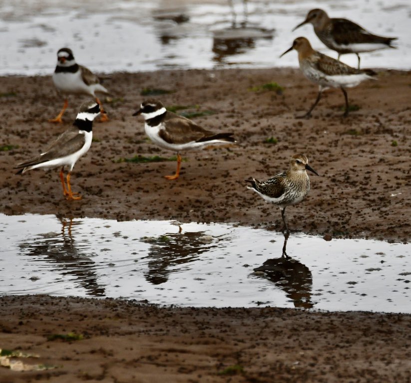 Tim Ridgeway tweet media