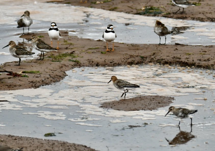 Tim Ridgeway tweet media