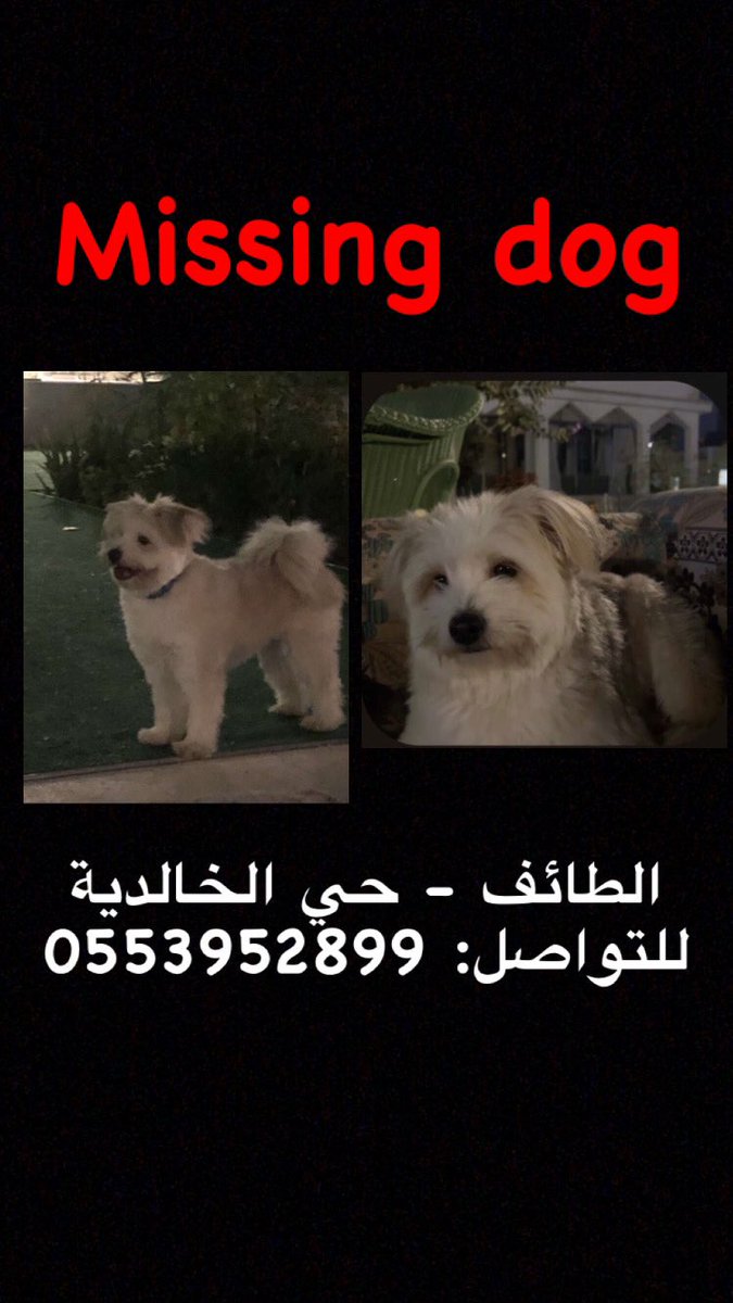 Team Help Animals tweet media