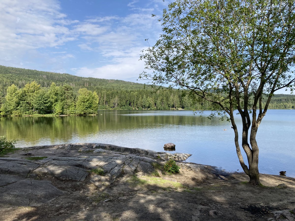 Corpsleone's tweet photo. #Sognsvann #Oslo https://t.co/1H7608liup