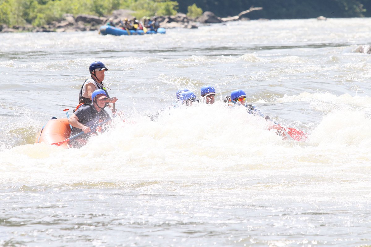 Les Rose tweet media