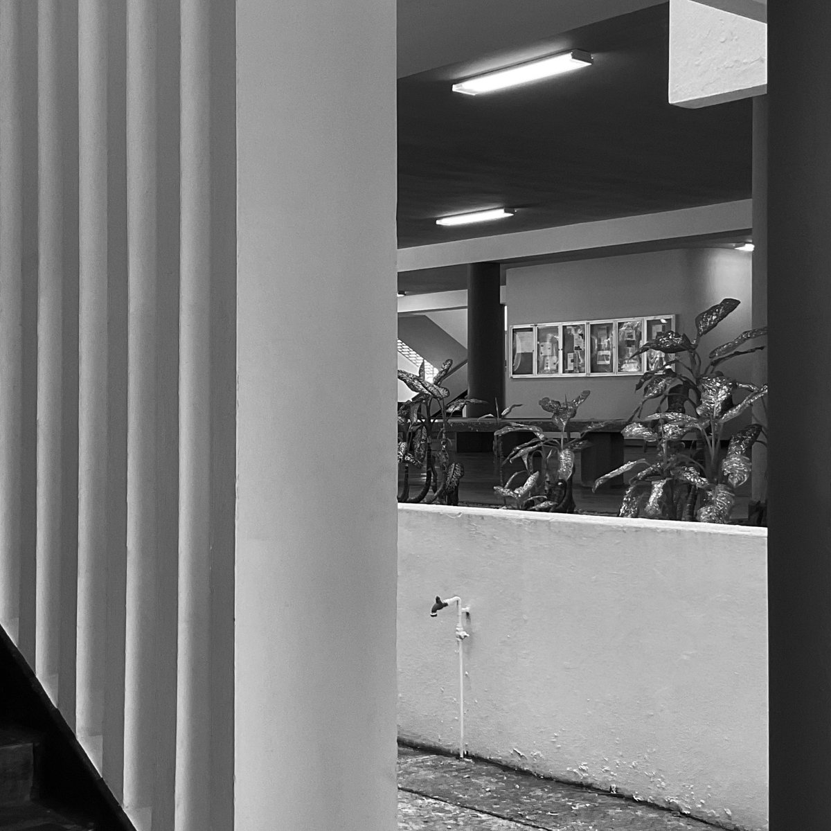 Business Administration and Social Sciences Buildings. University of Puerto Rico. Architect Henry Klumb. Photo Andrea Parga, 2022. Source Research and dissemination project FotoExploratorio #klumb #university #view #visualclues #foto #photo #modernarchitecture #fotoexploratorio