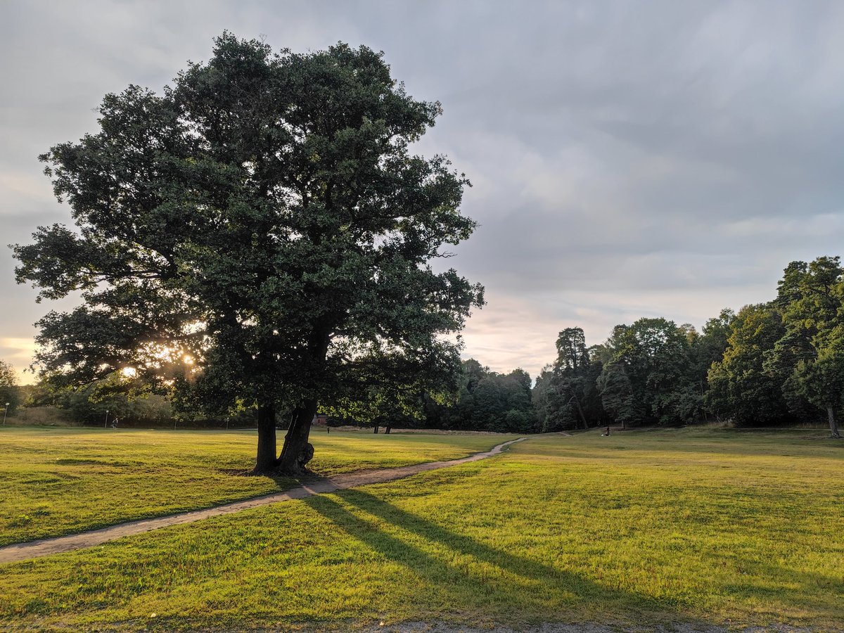 GoProFun's tweet photo. A bit of #JustGoFaster #HIIT #running #sawteeth

Sun is setting at "normalish" times - we tilt already, steeply, into Derp Dark. ❄️

Right now though? Perfect weather, for me. Light, chilly, clear. Lovely!

#BreakingImpossible
#Sormlands100
#hk4tuc

#MyPhoto https://t.co/ZE0od3Xe0E