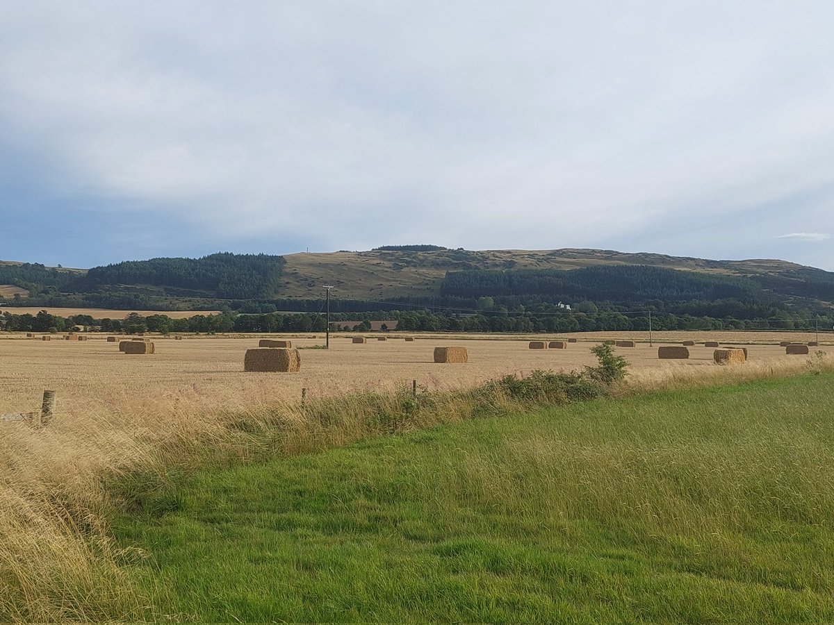 joeheenan's tweet photo. Spotted a herd of wild Weetabix today.
Absolutely stunning https://t.co/SifEQTL5od