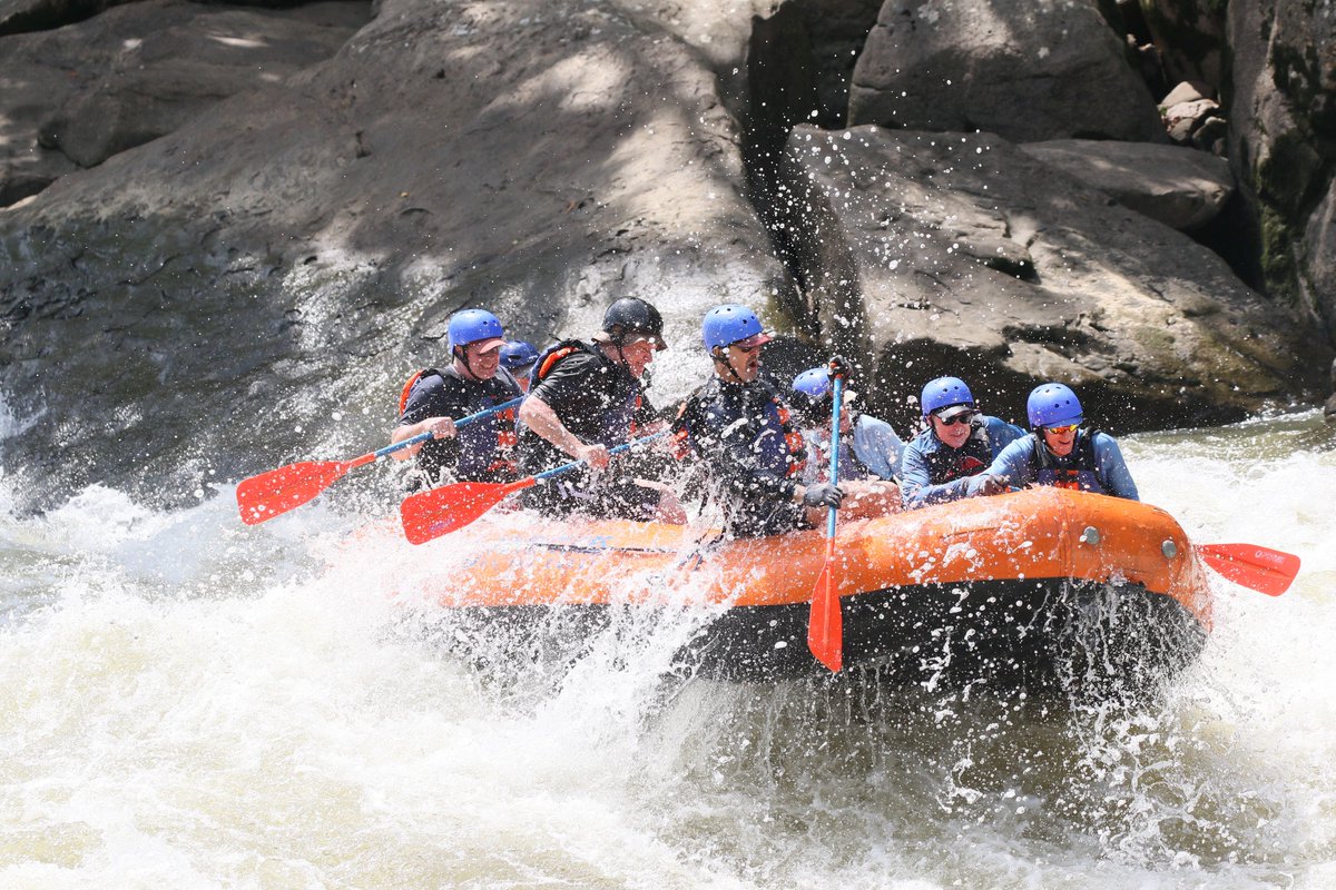 Les Rose tweet media