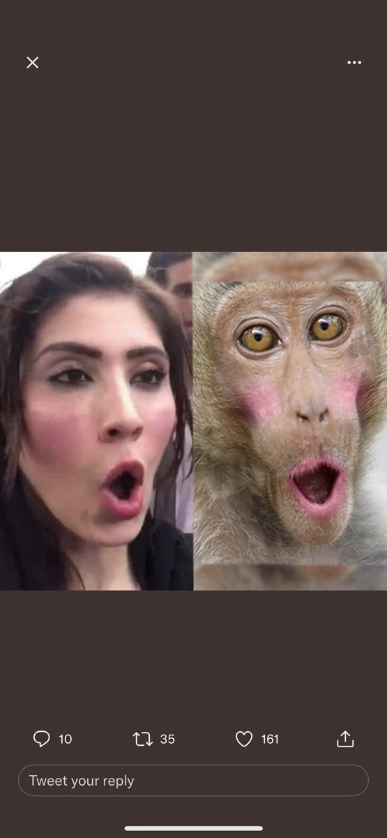 Muhamma10913304's tweet photo. @hinaparvezbutt https://t.co/EOtoUtAipz