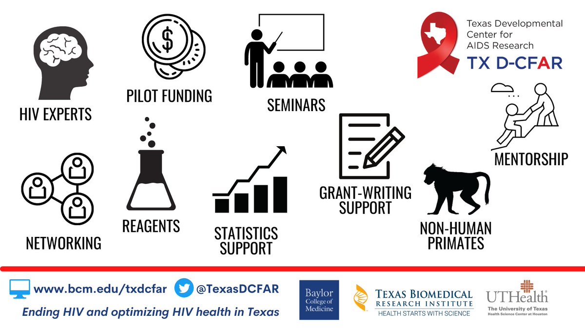 👉Trainee?
👉Jr faculty?
👉ESI?
🤠Live/work in Texas?

Let us help you find a stellar mentor to develop or level up your #HIV research. 
#MentoringMatters

Learn more:
bcm.edu/research/resea…