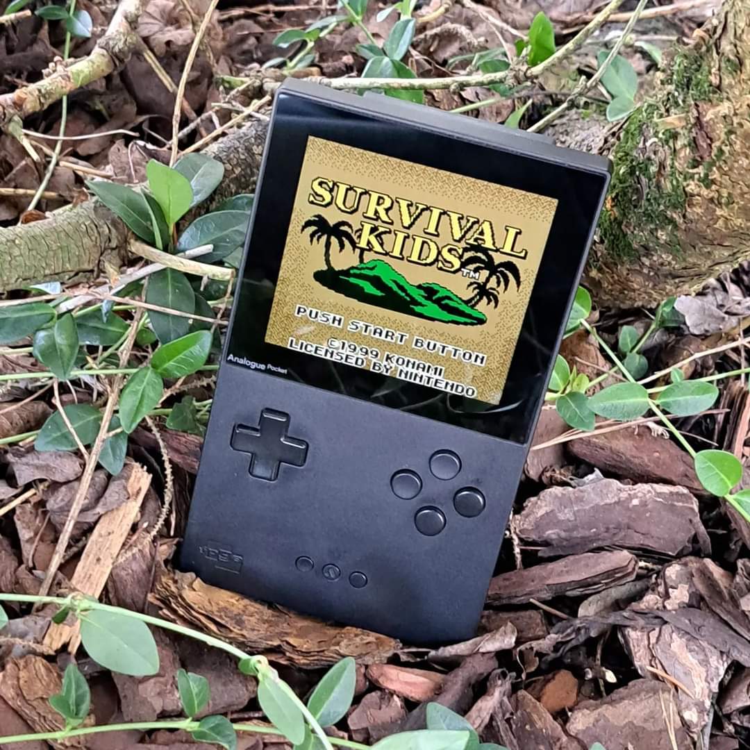 tylorlilley's tweet photo. I got the best ending in Survival Kids for the Game Boy and Game Boy Color!

#RetroGaming #AnaloguePocket #SurvivalKids #GameBoy #GameBoyColor #GameOfTheMonth https://t.co/DtfCpJgrqr