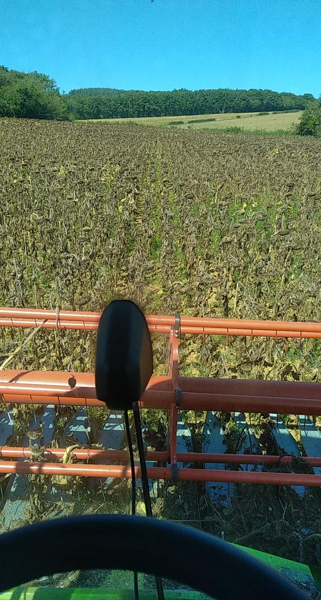 #moisson du tournesol #bio <a href="/_BourgogneDuSud/">Bourgogne Du Sud</a> <a href="/CLAASFrance/">CLAAS France</a> <a href="/JohnDeere/">John Deere USA</a>