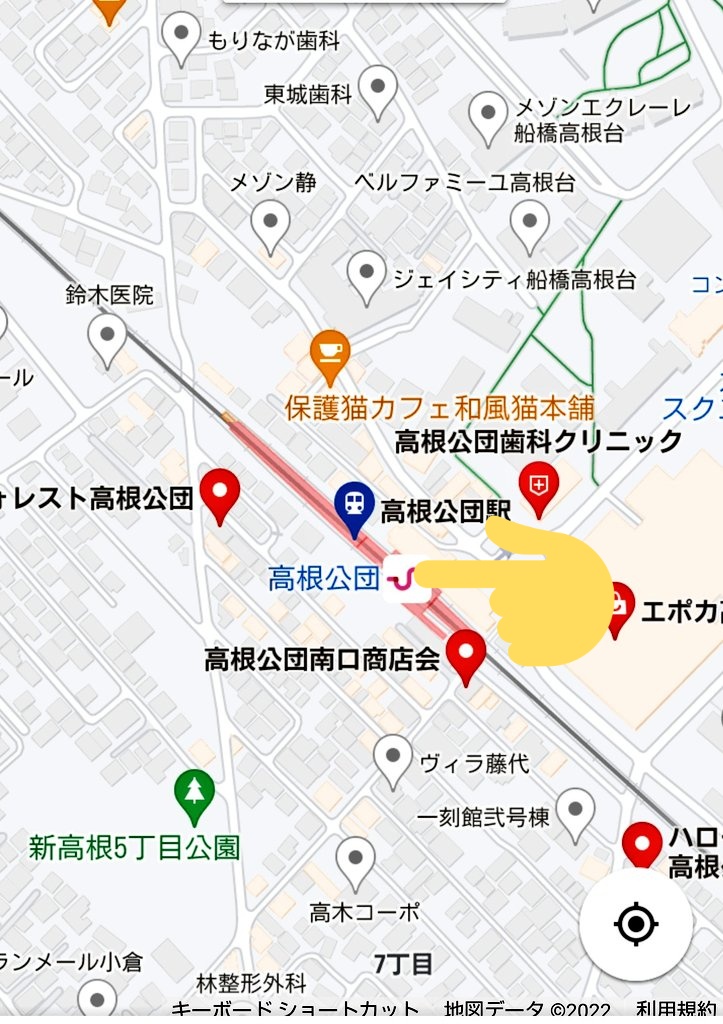 wasizu7masahiko's tweet photo. 🔶#拡散希望🔶
よろしくお願いします😺🙏#迷子猫
✳️名前『デカごん😼くん』
⭕️#キジトラ
⭕️オス♂🎏
⭕️右耳サクラカット
⭕️鼻の頭⇒白色
前首～胸毛⇒白色
白靴下柄◎
髭柄🥸
⭕️臆病😳
⭕️#千葉県船橋市高根台1丁目 付近から迷子😢
⭕️令和4年6月5日以降行方不明😭
#どんな些細な情報でもお願いします🙏 https://t.co/DTN3FL0KMN
