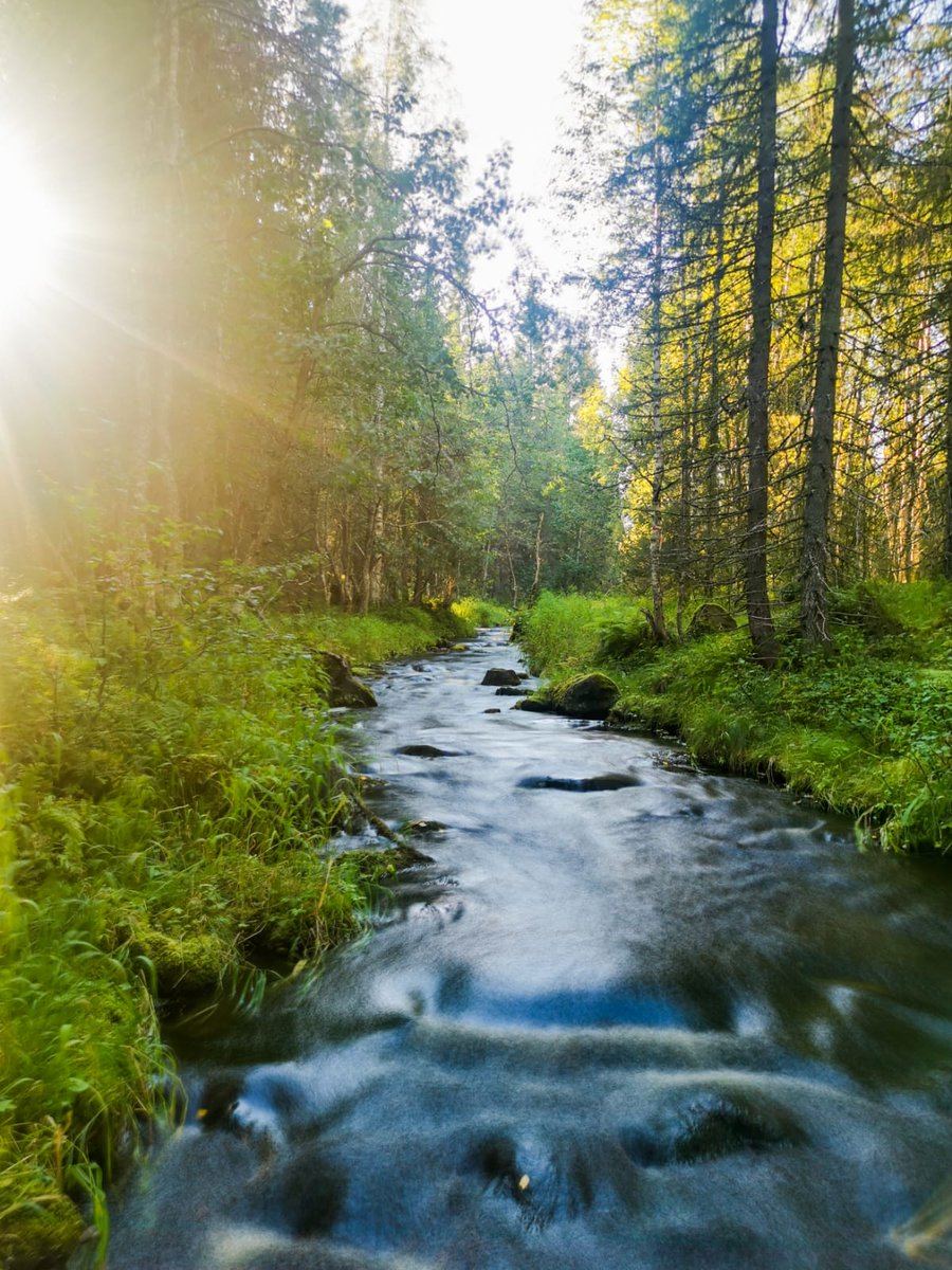 StreamUnioulu's tweet photo. Työpöytämme eilen illalla!  Ihan ok 💚 https://t.co/VHJ7X1xdkL