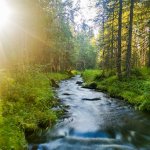 Photo by Stream Ecology UniOulu (@StreamUnioulu)