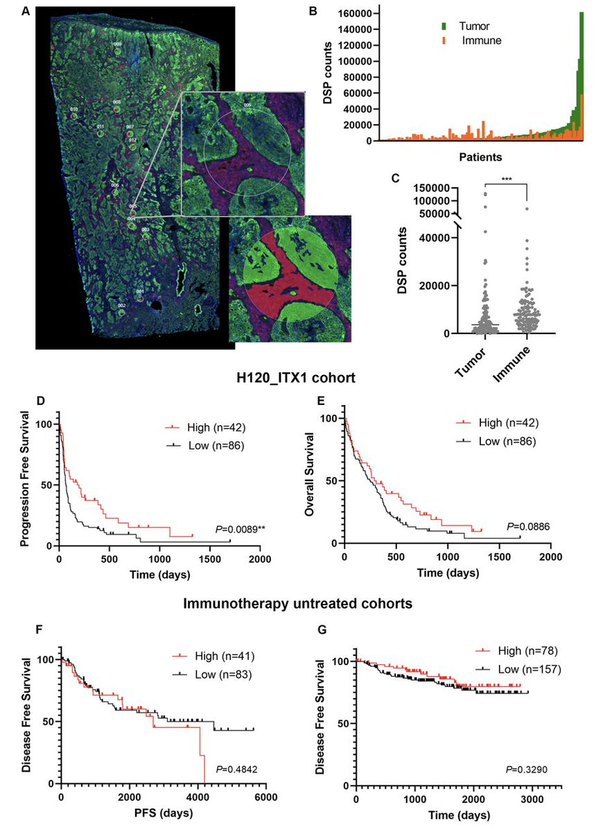 Journal for ImmunoTherapy of Cancer tweet media