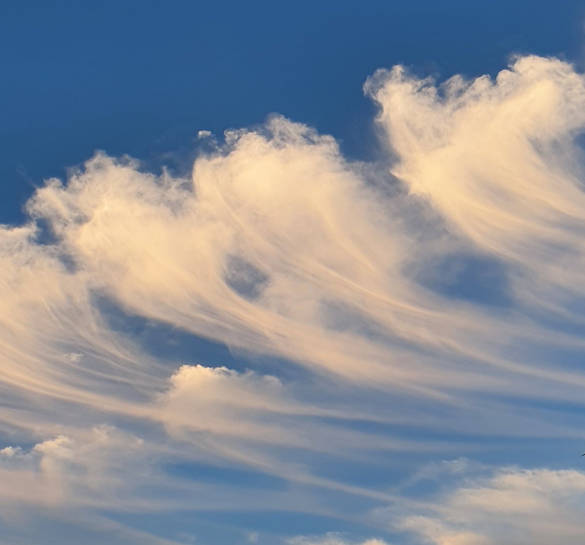 Kwallen in de lucht boven de Achterhoek? <a href="/Weerprimeur/">Marc Putto weerkundig strateeg / mediameteoroloog</a> <a href="/weermanrobert/">➡️ Robert de Vries</a> <a href="/WeermanMichael/">Michael vd Poel</a> @Talpaweer <a href="/helgavanleur/">Helga van Leur ☀</a>