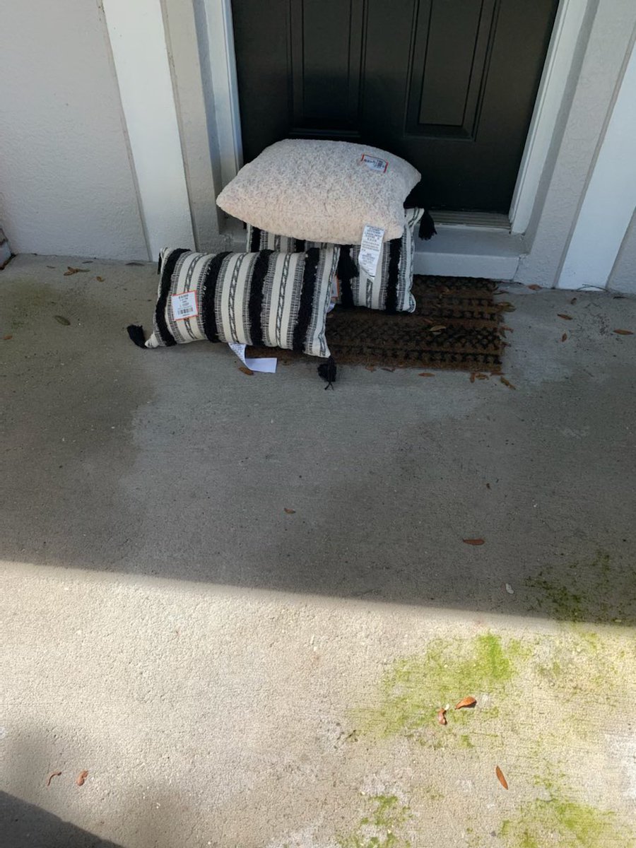 Lisa Geier tweet media