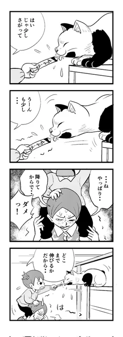 早く寝まーす
苦しまぎれ4コマー
おやすみなさいー (‾q‾)zzz 