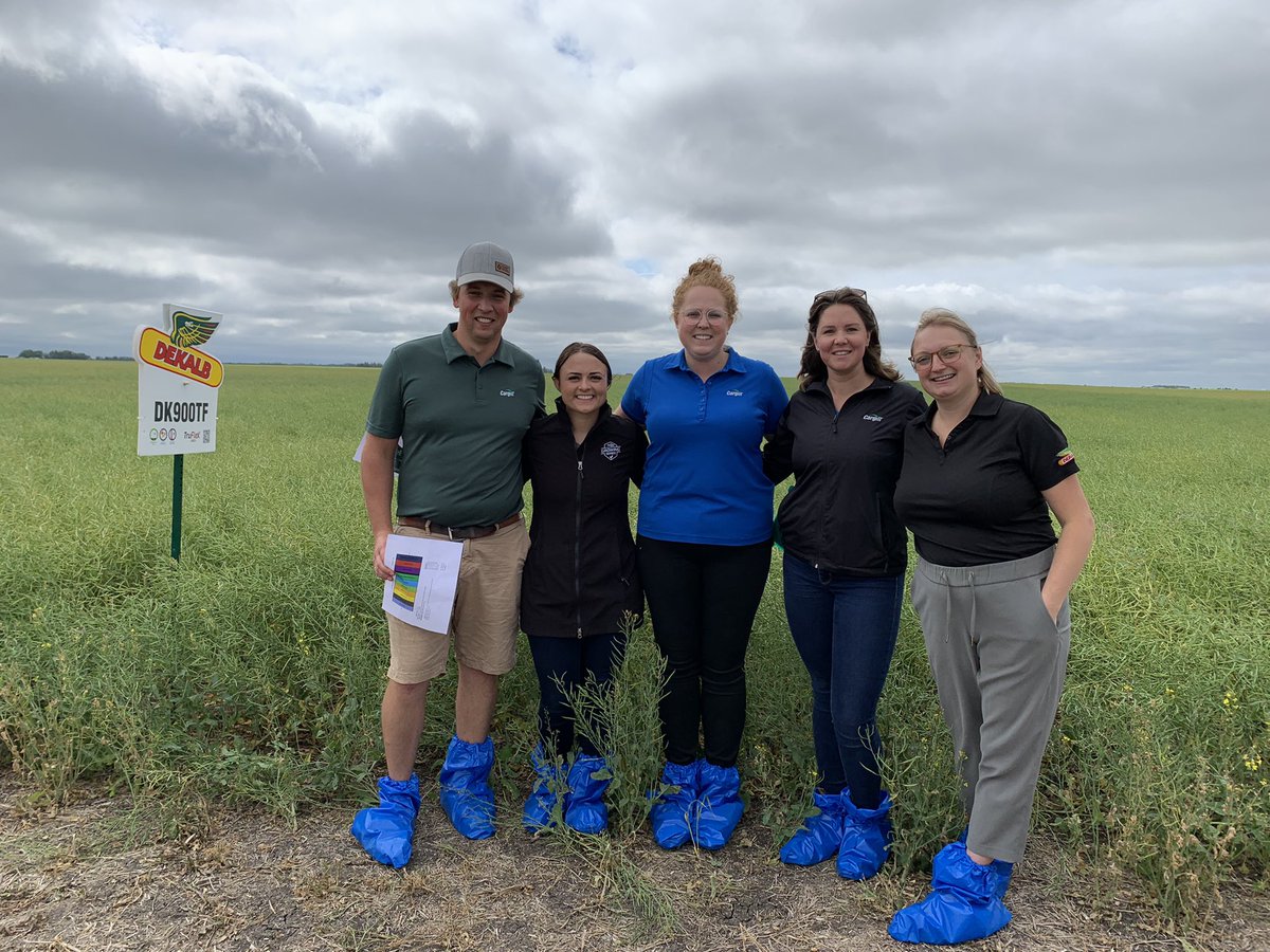 Another great day in a canola trial with the Balcarres Cargill crew chatting <a href="/DEKALB_Canada/">DEKALB Canada</a> canola! Thanks for making the trek over to our Craven,SK site. Missing <a href="/KendallGee/">Kendall Gee</a> in the pic! <a href="/MichelleJill/">Michelle Thompson</a> <a href="/SScherbey/">Shynelle Scherbey</a> <a href="/Cargill/">Cargill</a>