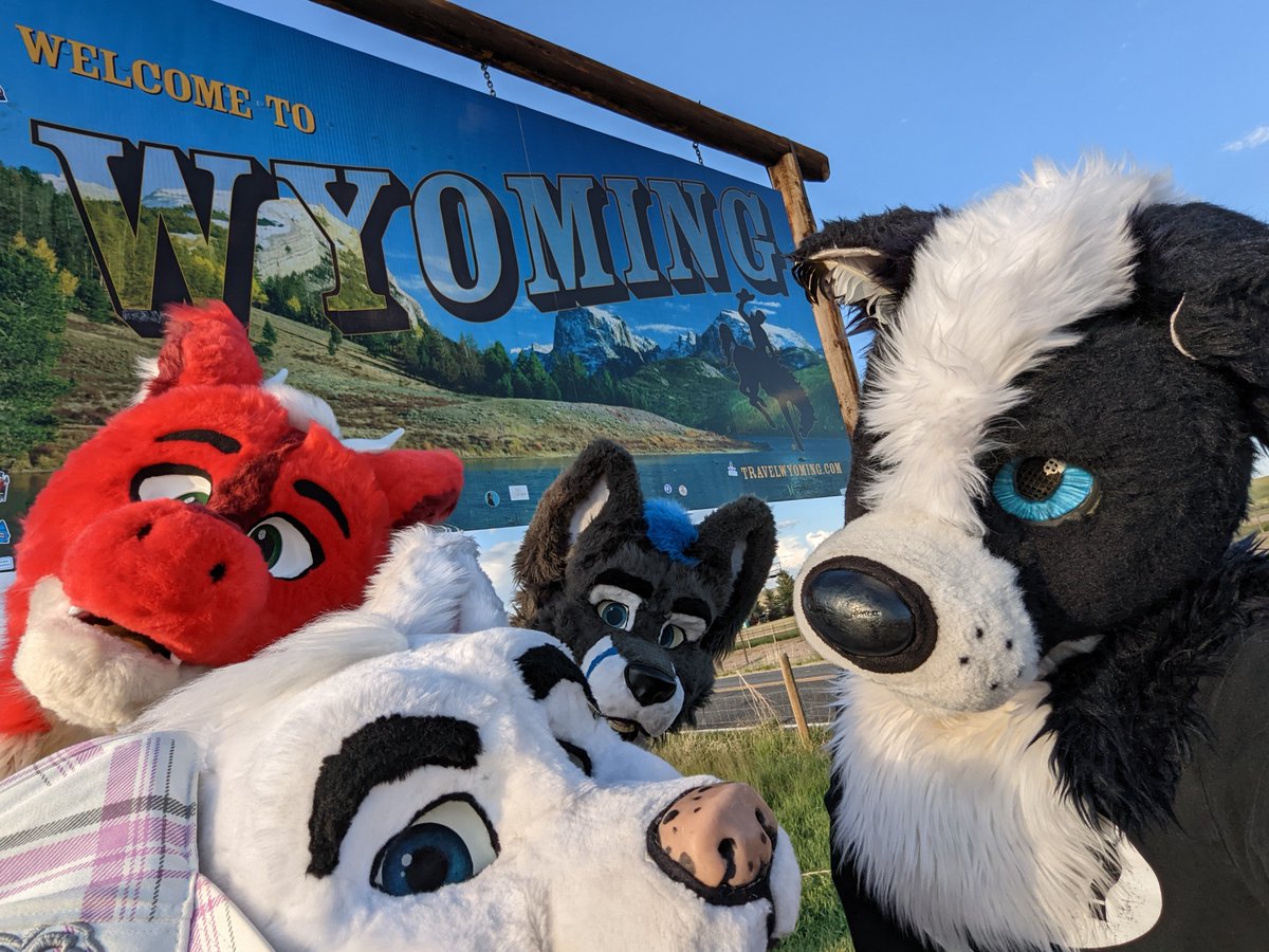 Bizkit Collie tweet media
