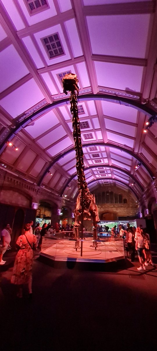KatLawrence's tweet photo. I went to visit Dippy today and it was everything I expected and more! It is strange to love a dinosaur so much?
#DippyReturns @NHM_London https://t.co/kn2q4QWfe3