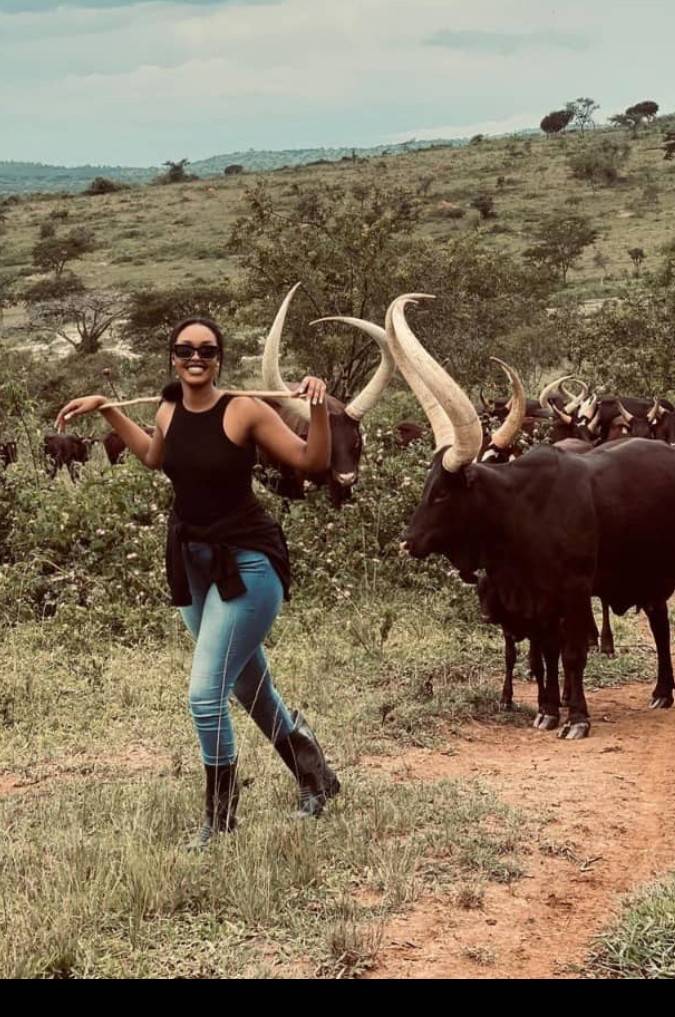 HonEjiofor's tweet photo. Greetings from Uganda.
Dear African youths, Agriculture "Livestock farming" is not a dirty job for uneducated or old people. let break this bias and invest in Agriculture for food sustenance, nature so kind with Africa we are richly blessed by nature.
#VillageWriter https://t.co/WtMbNhxWiU