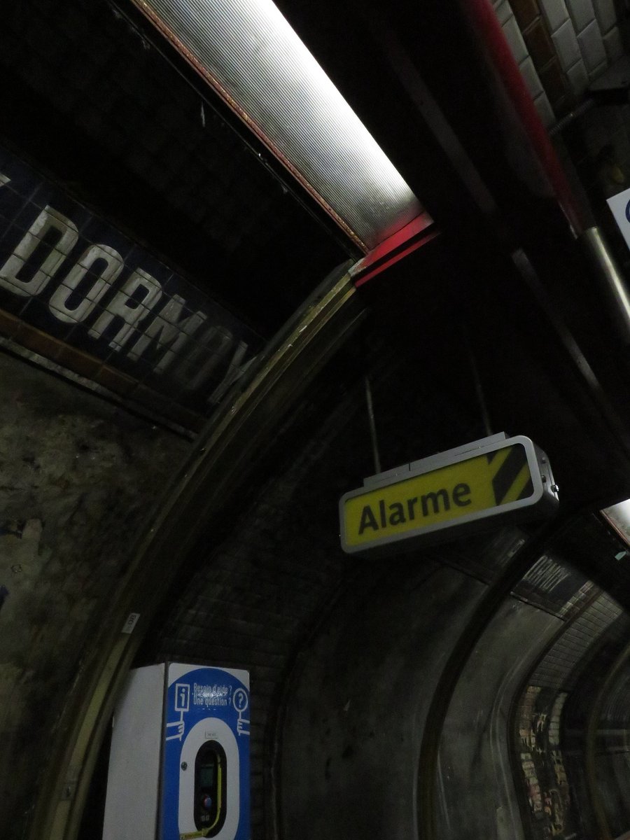 seitruc ❄️☃️ tweet media