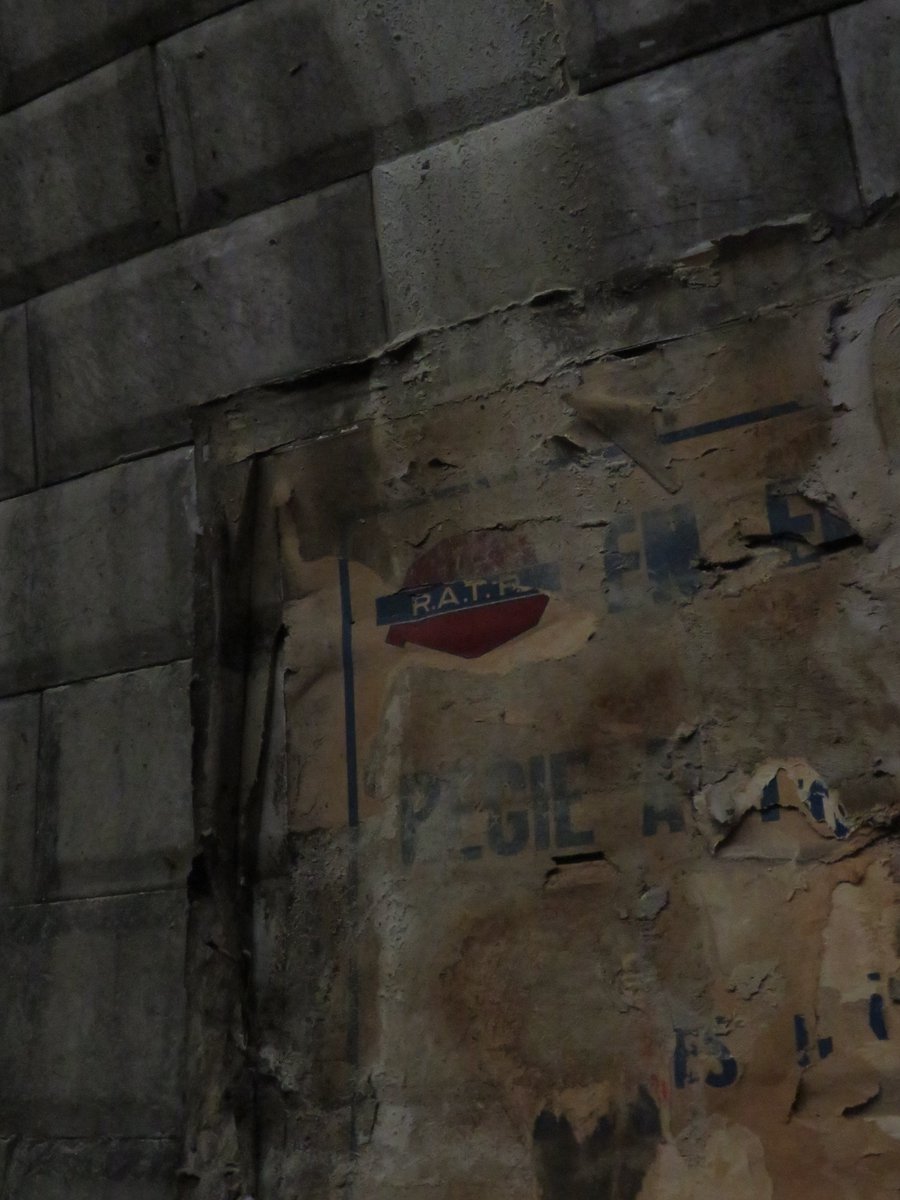 seitruc ❄️☃️ tweet media