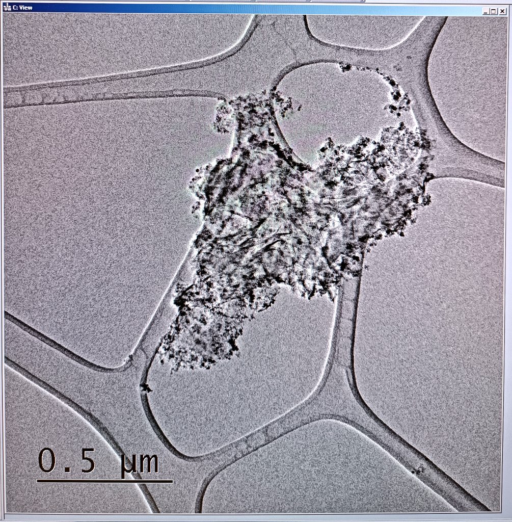 CFLopezCamara's tweet image. Watching #nanoparticles at the #TransmissionElectronMicroscope (TEM), I&apos;ve found this familiar shape today 😍

#womeninSTEM #Catalunya #research