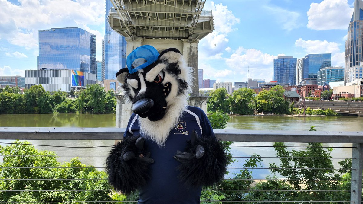 RadTalkinRex's tweet photo. Totally awesome day for a stroll!

#tennessee #nashville #musiccity #downtown #river #riverside #riverfrontpark #furryfandom #fursona #furry #fursuiter #fursuit #takingintheviews https://t.co/dyBfG0GiL7