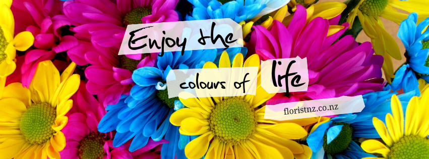 floristsnz's tweet photo. https://t.co/vs1rmftO5S