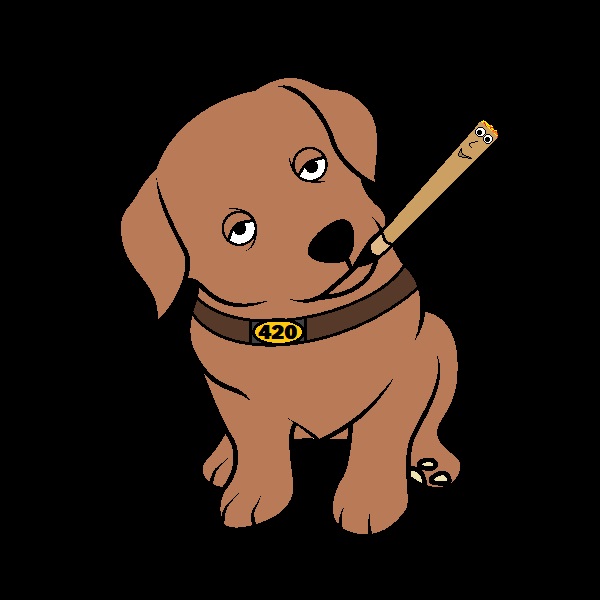 420Kusama's tweet photo. Cats or Doggs?

Left or Right? 

Tomorrow this adorable dog will be for sale for 0.22KSM! https://t.co/b3HJy4yXqv