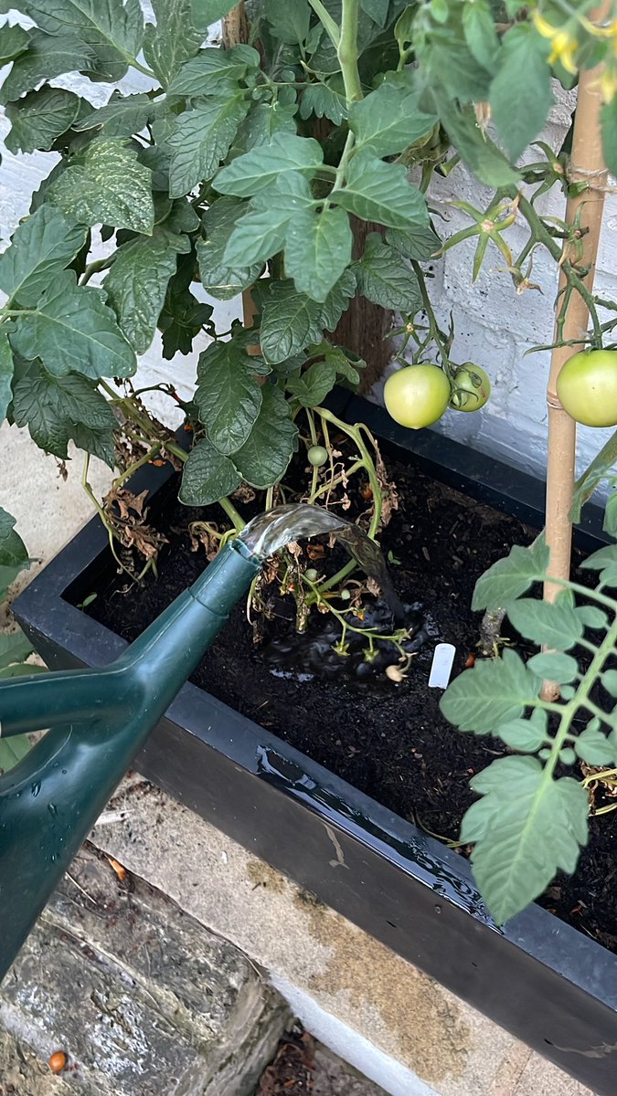 jameswoudhuysen's tweet photo. How #ThamesWater's fab new #hosepipeban works
1 Fill watering can with pipe a few times - nobody will see you
2 Instead of one walk-around, use can on several journeys
3 Sigh with relief that you won't be fined £1k #Water #Rational #Green #LabourIntensive #NetZero #bollocks https://t.co/eJE2xVlkRL