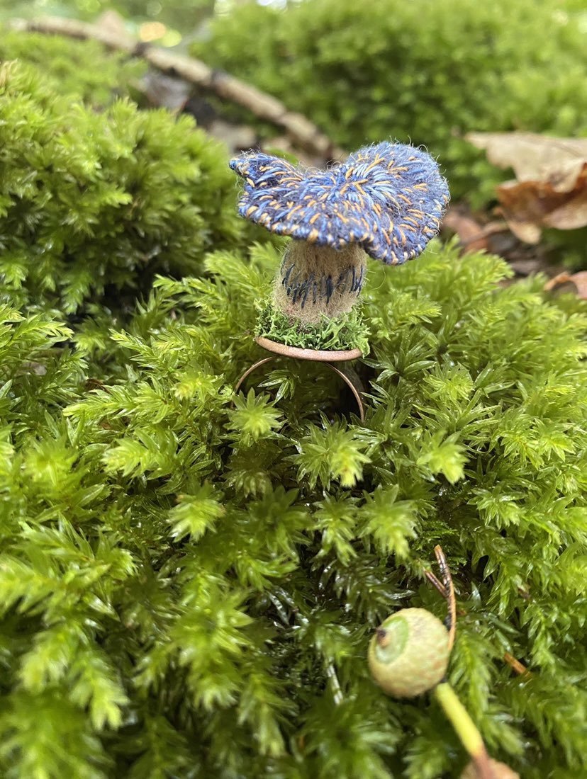 Stitching tiny toadstools to make rings for those moments when you want to drape yourself against a tree like a forest faerie…
#Forest #NatureBeauty #Woodland #Embroidery #SlowStitch #SlowStitching #Faerie #Fairy #cottagecore