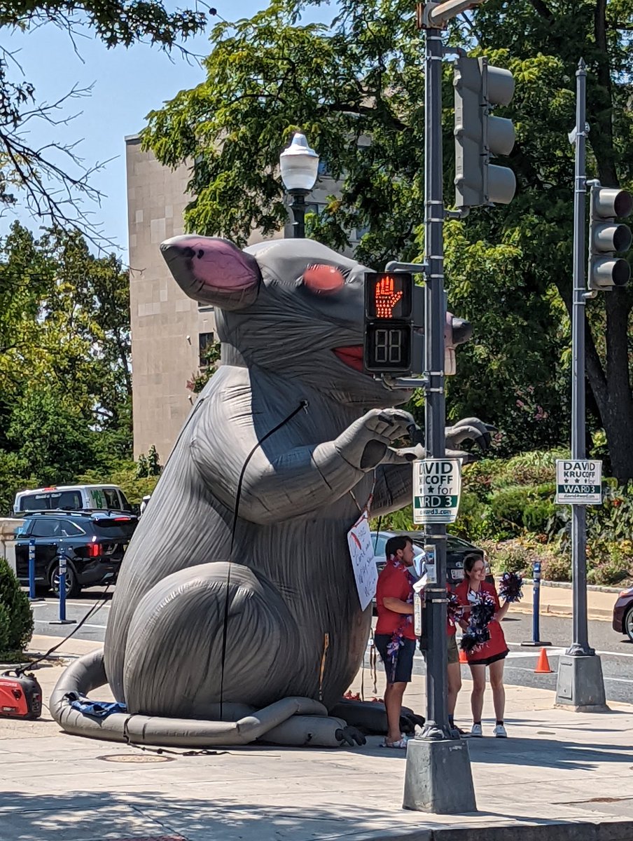 You know some serious anti-labor shenanigans are going down when Scabby the Rat shows up @AmericanU when @austaffunion is on the picket line.

#AReadyStrikeU #AUChangeCantWait #HotLaborSummer