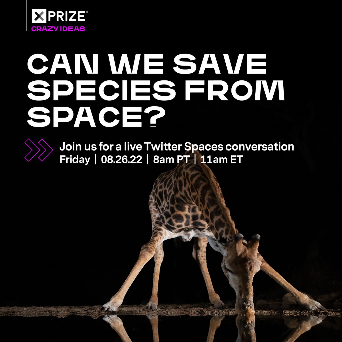 Join Twitter Spaces for a panel on XPRIZE Crazy Ideas this Friday at 8am PT | 11am ET <a href="/CatKutz/">Cat K</a> &amp; <a href="/kevmarriott56/">Kev Marriott</a> will explore how satellite data assists in environmental conservation with experts including <a href="/SmithsonianMOL/">Movement of Life</a>
Tweet your questions at #AskXPRIZE

bit.ly/3pyeucM